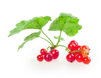 Similar image 2947936