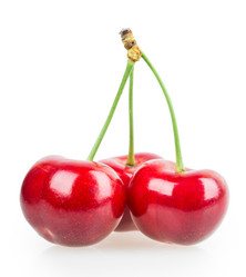 Similar image 2947939