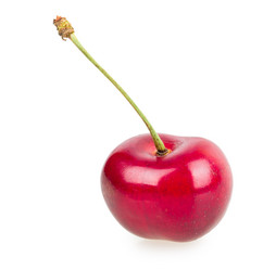 Similar image 2947940