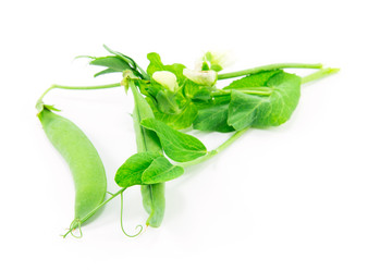 Similar image 2947945