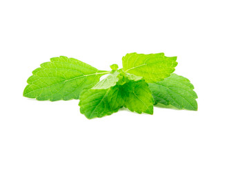 Similar image 2947946