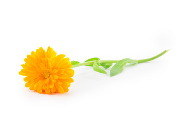 Similar image 2947947