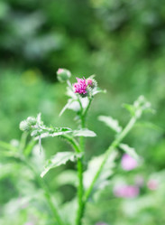 Similar image 2947952