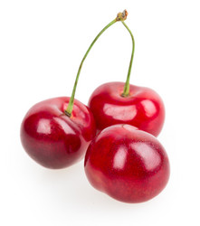 Similar image 2947954