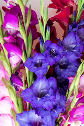 Similar image 2947965