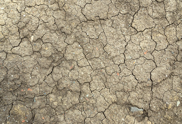 Similar image 2947977