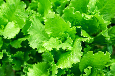 Similar image 2947978