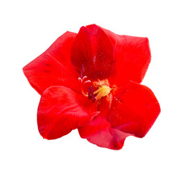 Similar image 2947984