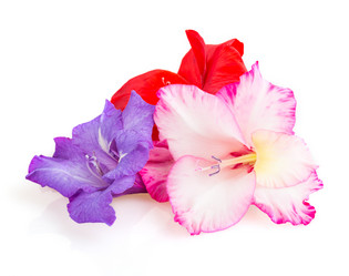 Similar image 2947986