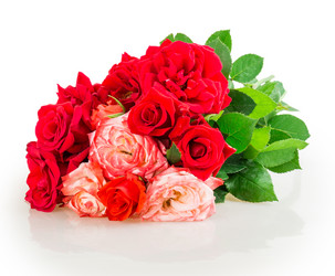 Similar image 2947989