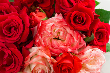 Similar image 2947990