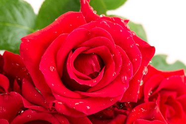 Similar image 2948004