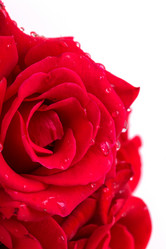 Similar image 2948005