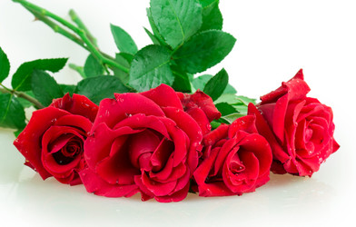 Similar image 2948006