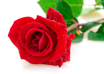 Similar image 2948007