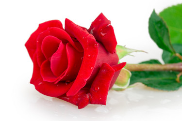 Similar image 2948008