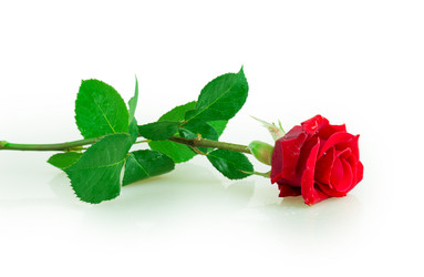 Similar image 2948010