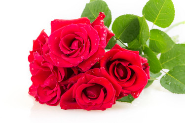 Similar image 2948012