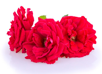 Similar image 2948016