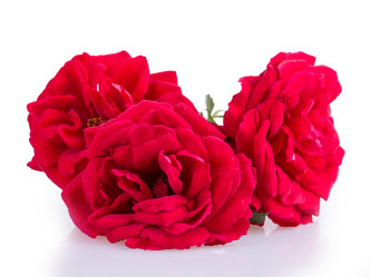 Similar image 2948018