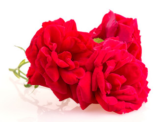 Similar image 2948019