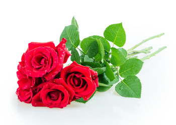 Similar image 2948020