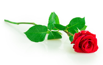 Similar image 2948021