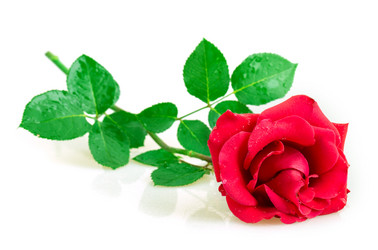 Similar image 2948022