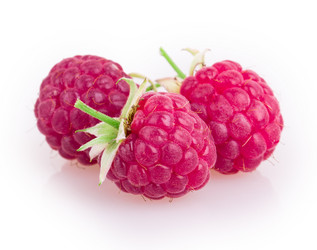 Similar image 2948024