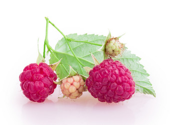 Similar image 2948027