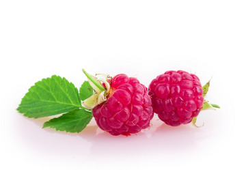 Similar image 2948030