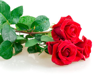 Similar image 2948032