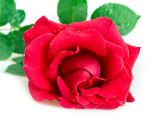 Similar image 2948033