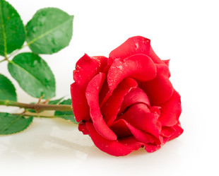 Similar image 2948034