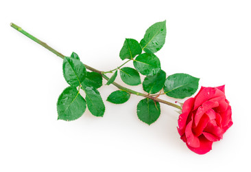 Similar image 2948035