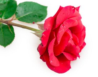 Similar image 2948036