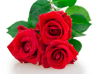 Similar image 2948040