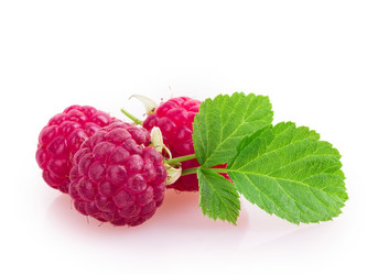 Similar image 2948041