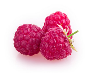 Similar image 2948053