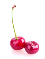 Similar image 2948058