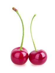 Similar image 2948059