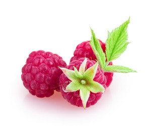 Similar image 2948061