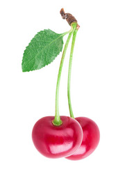 Similar image 2948082