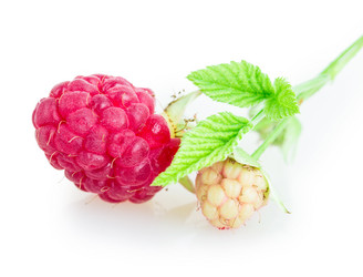 Similar image 2948089