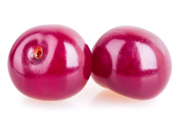 Similar image 2948090