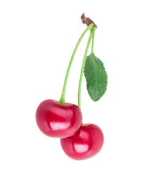 Similar image 2948093