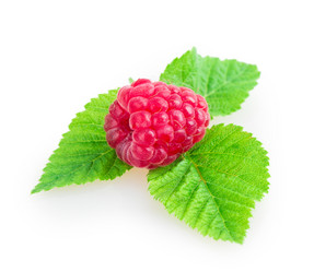 Similar image 2948102