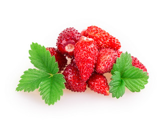 Similar image 2948104