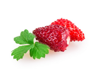 Similar image 2948106