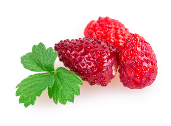 Similar image 2948107